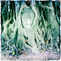 southeast-asia-01676