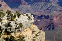 Detail, Grand Canyon National Park, AZ